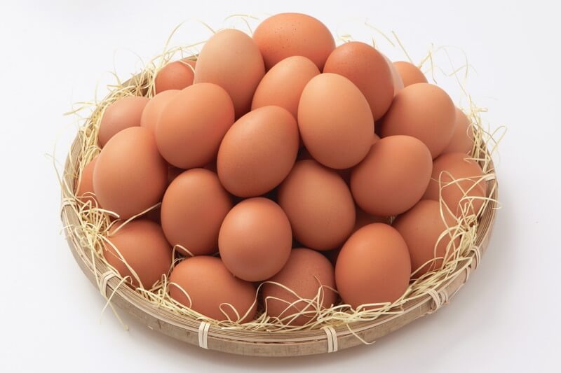 【岩田養鶏場】で飼育されている『ボリスブラウン』の赤玉